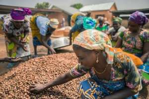 Shea Network Ghana, OXFAM to hold exhibition for businesses in Shea Value Chain