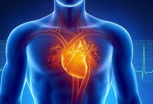 IDTechEx Report Discusses Diagnosing Cardiovascular Disease