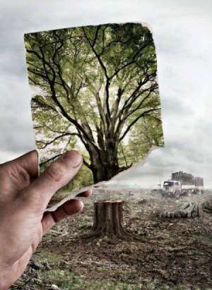 Our Suicidal War Against Nature