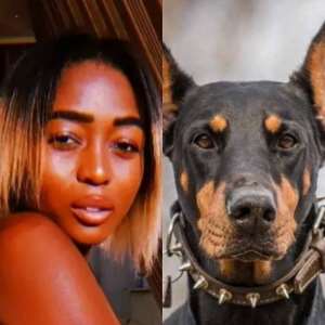 Nigerian woman mauled to death by starving dogs in Italy, Police commence investigations