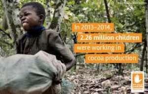 Global Media Foundation gets $60,000 to fight child labour in Ghana’s cocoa sector