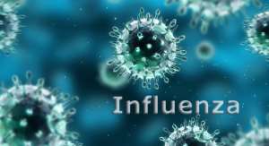 Know About The Influenza
