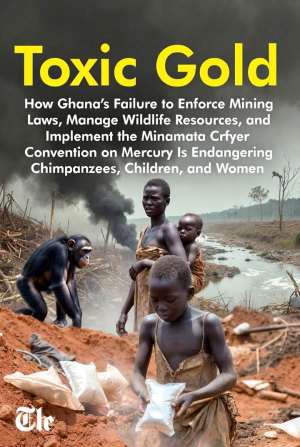 Toxic Gold: Ghana’s Struggle to Uphold Mining Laws and the Minamata Convention Endangers Communities and Wildlife