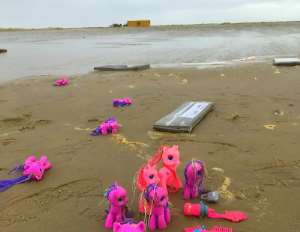 Flat-screen televisions and children toys washed up on the shore