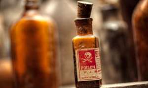 Poison as a Weapon and a Circumstance in Ghana: Crime, Belief, and Public Health