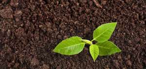 December 5th Is World Soil Day
