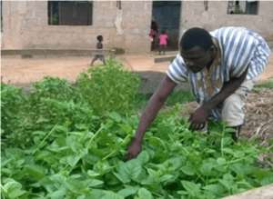 Let Us Pursue Radical Approach By Government To Boost Agriculture In Ghana