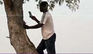 Watch How Residents Of Kulaw Climb Trees To Make Phone Calls