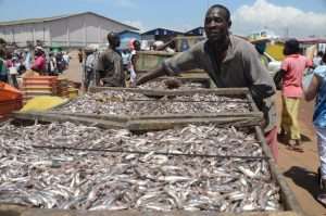 Ghana On The Verge Of Losing Its Fish Stock To China – Natural Resources Economist Warns