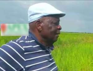Farmer's Day: Interview with former Defense Minister Mark Woyongo