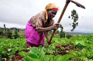 U.S. Ambassador Launches 19 Million activity to boost Agriculture Finance in Ghana