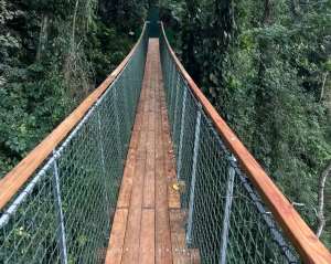 Amedzofe canopy walkway temporarily closed for safety assessment