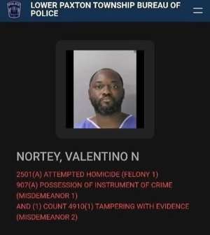 Former NPP PC Nii Noi Nortey in US custody for allegedly stabbing wife