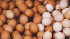 Eggs have the potential to prevent strokes, diabetes