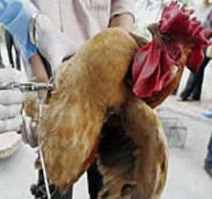 Bird flu farm owners compensated