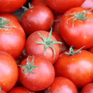 Upper East tomato farmers meet Minister over prices