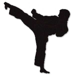 Give martial arts needs attention -Sheikh Cessy