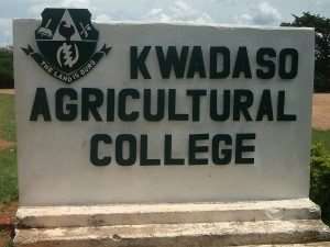 College Of Agric Students Cry Out Over Allowances