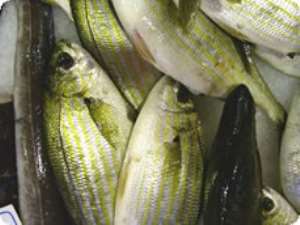 Fish farming receives boost