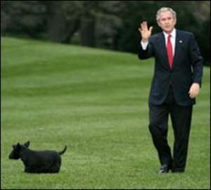 Bush's Dog Bites White House Reporter