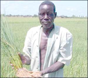 800m For Agric Sector