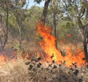 Nkoranza residents decry alarming rate of bushfire