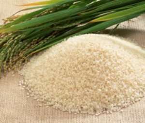 Ghana, others to benefit from 4.2b Japanese loan for rice production