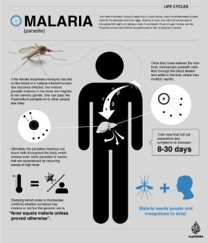Malaria: Tanzanias End Game