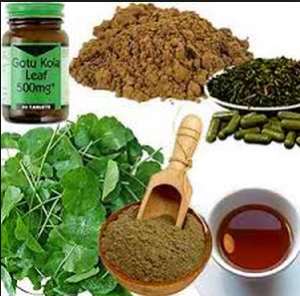 Herbal Medicine Practitioners Bemoan Maximum Attention Given To Orthodox Medicine