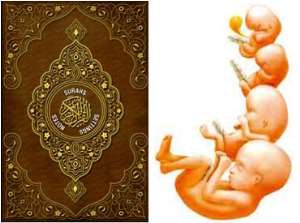 Qur'anic Exegesis  Analysis Via The Lens Of Modern Science...Ninth Day of Ramadan Quran  Human Creation
