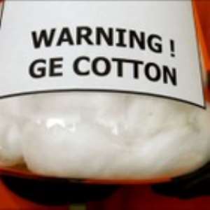 GMO Cotton Failure In Burkina Faso: African Farmers Speak Out