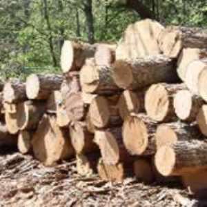Credit crunch causes reduced demand for wood