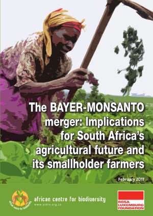 Bayer-Monsanto Merger: An Existential Threat To South Africa S Food System