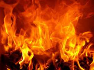 Dambai: Minister's 115 Acre Mango Farm Burnt To Ashes