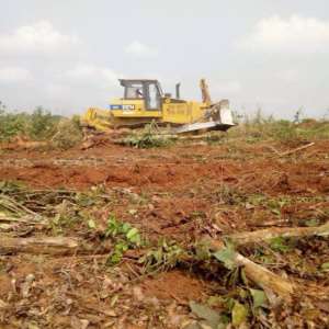 Eastern Region Farmers Demand End To Destruction Of Cocoa Trees By Ghana Rubber Estate Ltd