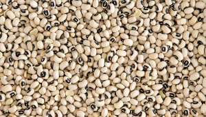 FDA warns against using cement to preserve beans