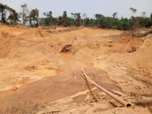 24 Thousand Acres Of Land Destroyed By Illegal Mining In Amenase Forest Reserve--IMCIM