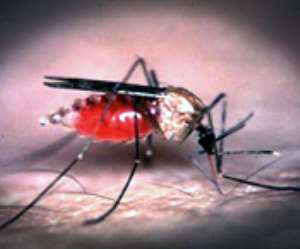 Malaria parasites resist drugs