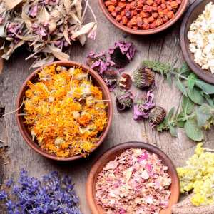Integration Of Herbal Medicine In Ghana’s Healthcare Program (part 2)