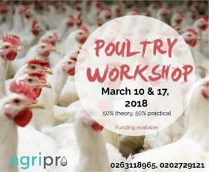 Why You Should Consider Poultry Production As A Viable Business To Invest In