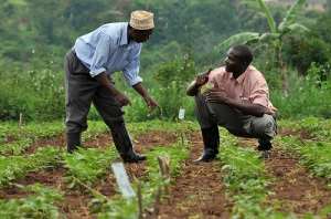 Debt Owed Seed Suppliers Of Planting For Food And Jobs To Be Cleared