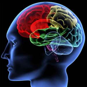 Terrorism Is Not A Religious Problem; It Is An Issue Of The Mind