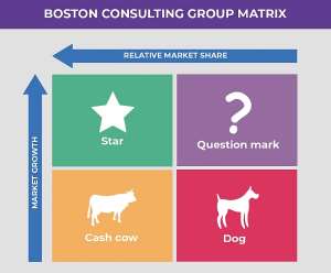 The Boston Consulting Group BCG Matrix