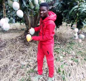 Meet Maxwell Kofi Lee: JHS Graduate And Young Ambitious Mango Farmer