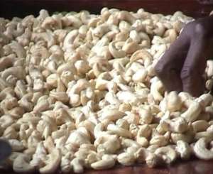 Ghana Raked In 981million From Cashew Exports