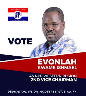 Work as one family for victory 2020 - Vice chairman hopeful