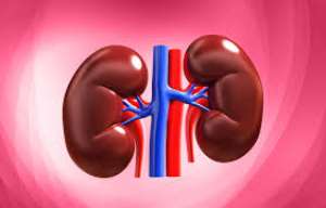The Silent Kidney Health Challenge We Are Not Talking About in Northern Ghana