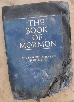 Stop Belittling God With Unburnt Bibles