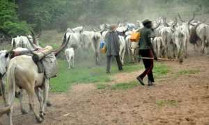 Zanj Revolt: Fulani Using Hausa Slaves To Terrorize Africans