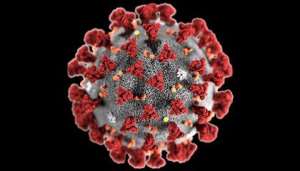 Stop Politicising Coronavirus